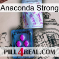 Anaconda Strong 37